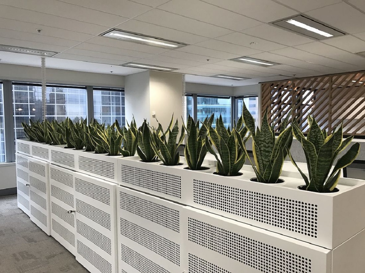 Plant Hire In Melbourne